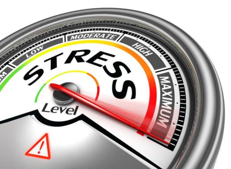 Stress und Belastung