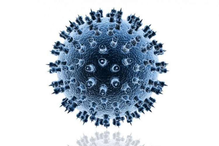 Herpes simplex