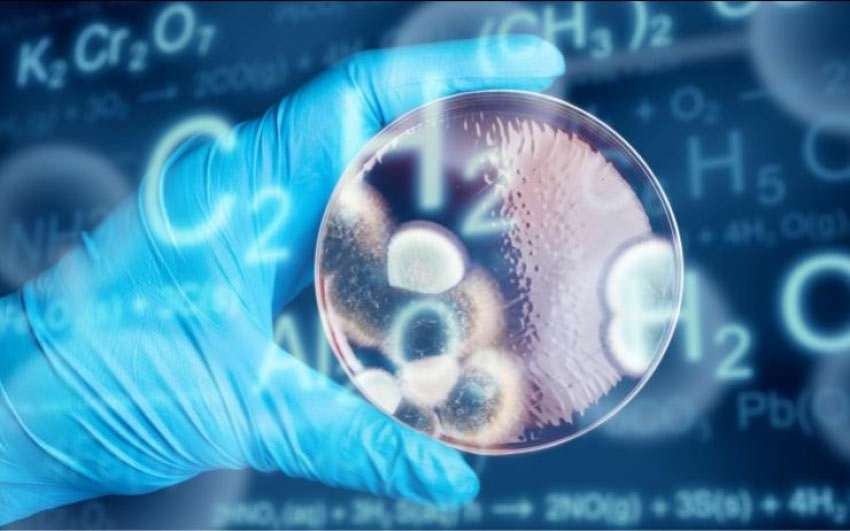 MRSA Krankenhaus - Hospitalinfektionen