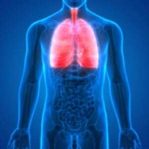 Bronchitis – Symptome-Diagnose-Therapie