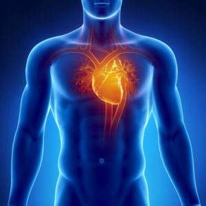 Herzmuskelentzündung (Myokarditis): Symptome