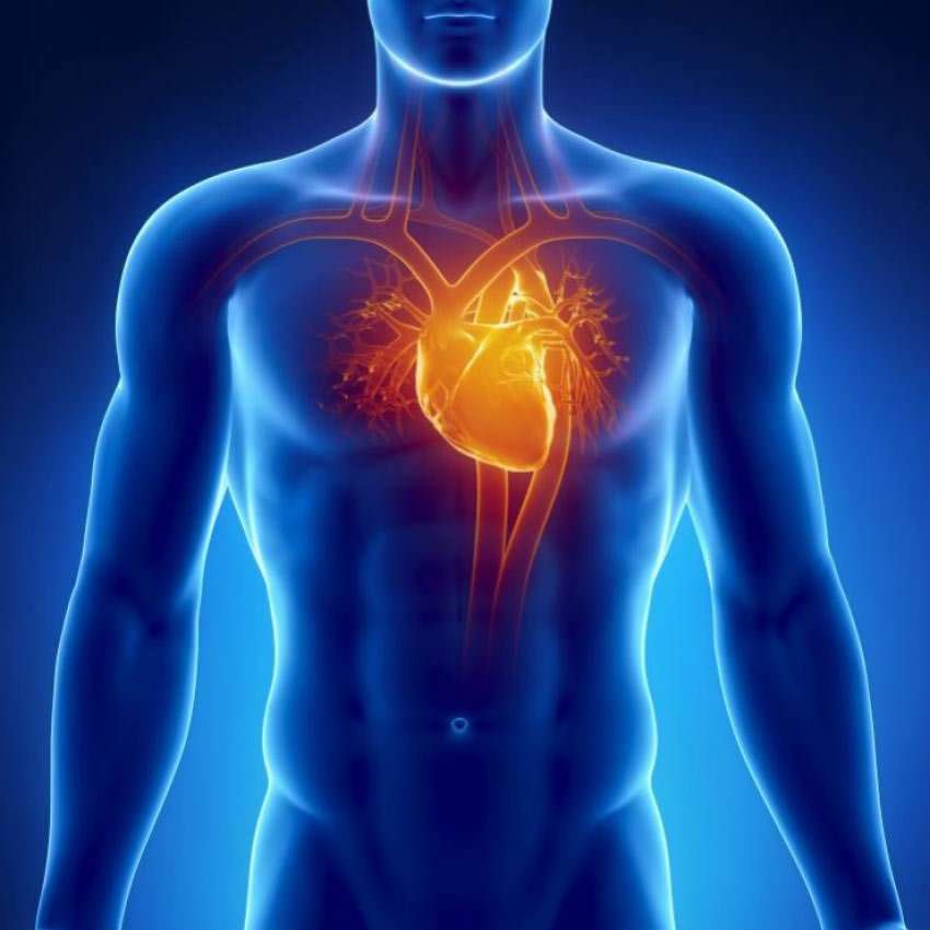 Herzmuskelentz ndung Myokarditis Symptome Teil 3 