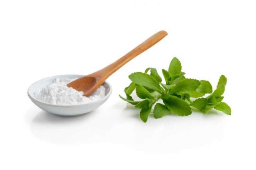 Stevia rebaudiana Bertoni