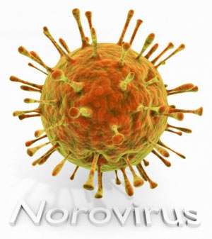 Norovirus: häufiger Erreger von Gastroenteritis